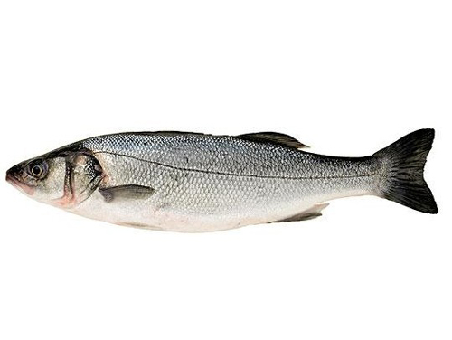 鱸魚(yú)