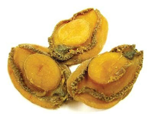 鮑魚(yú)